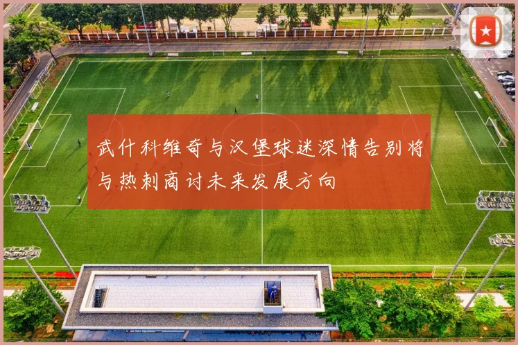 武什科维奇与汉堡球迷深情告别将与热刺商讨未来发展方向